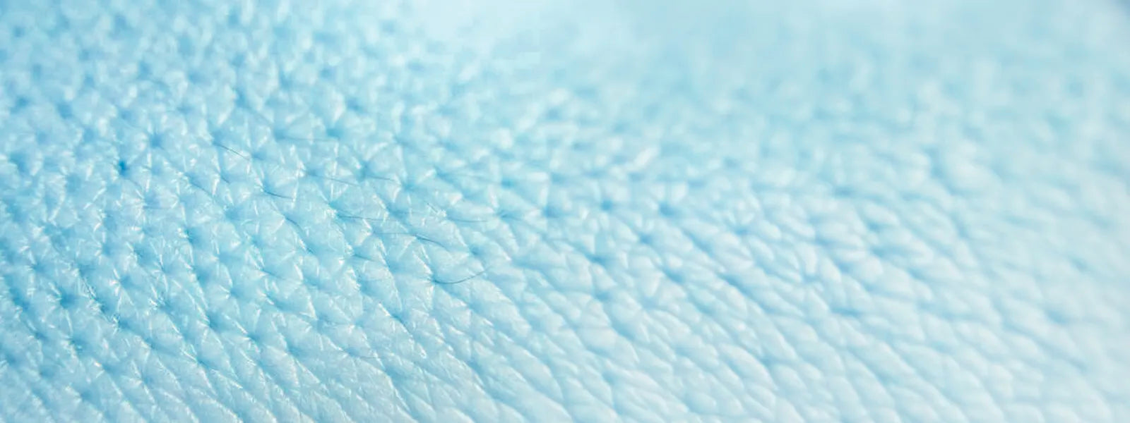 How Skin Works