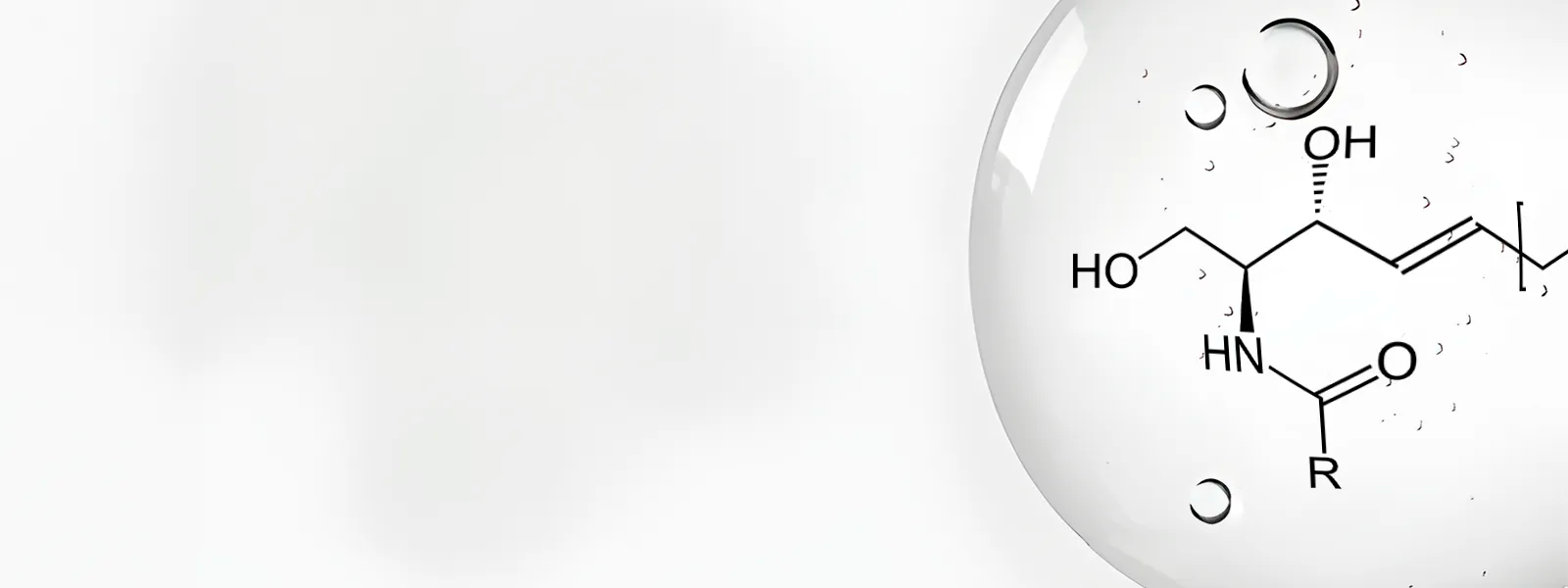 How Ceramides Help The Skin Barrier